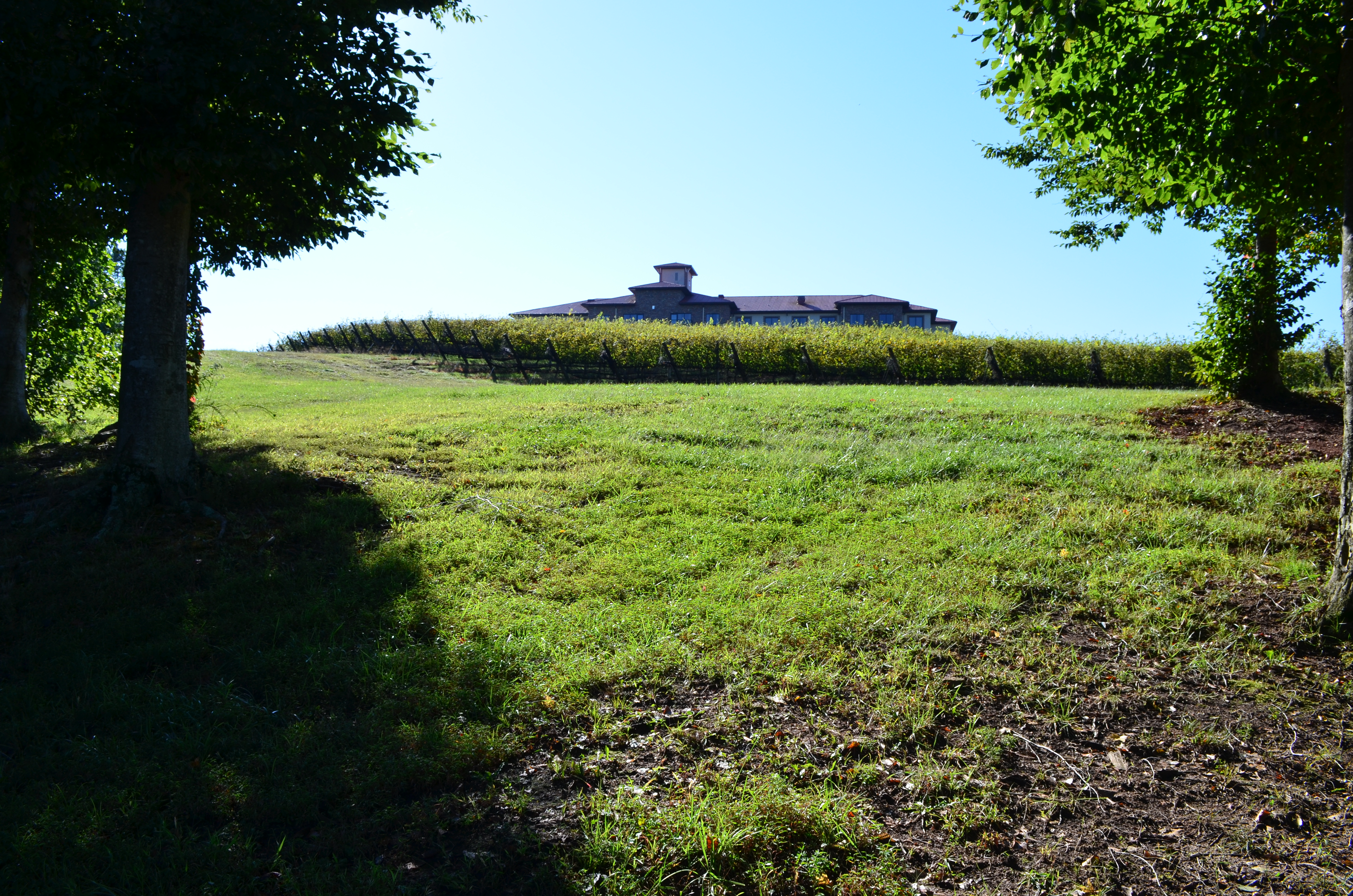 ./2013/Lexington NC/DSC_2940.JPG